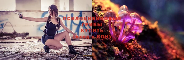 экстази Няндома