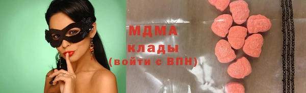 индика Осташков