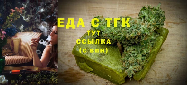 индика Осташков