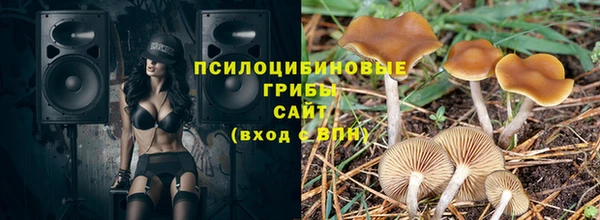 экстази Няндома
