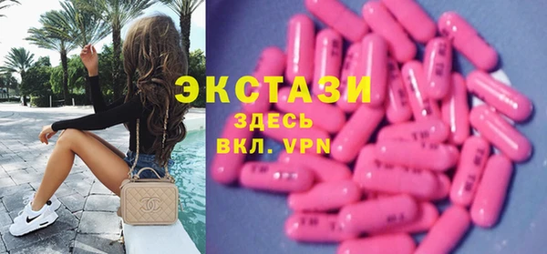 индика Осташков