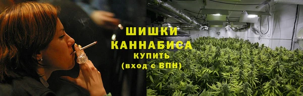 бошки Осинники