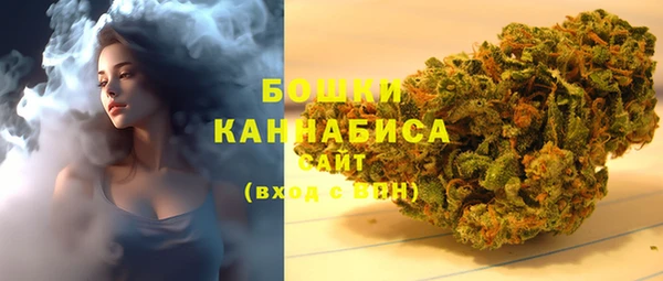 индика Осташков