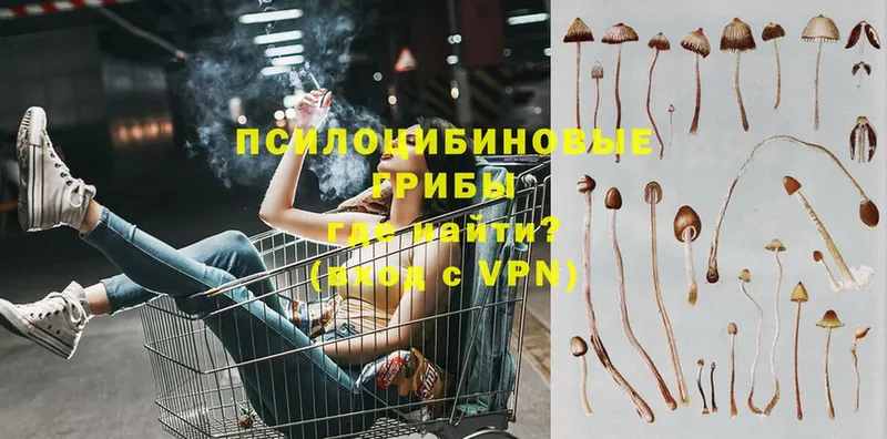 Псилоцибиновые грибы мухоморы  закладка  MEGA как зайти  Киржач 