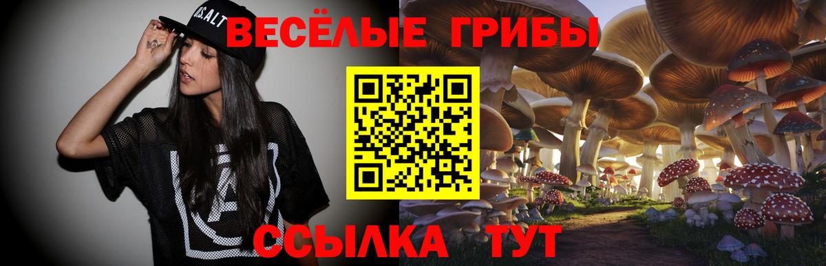 Псилоцибиновые грибы прущие грибы Киржач