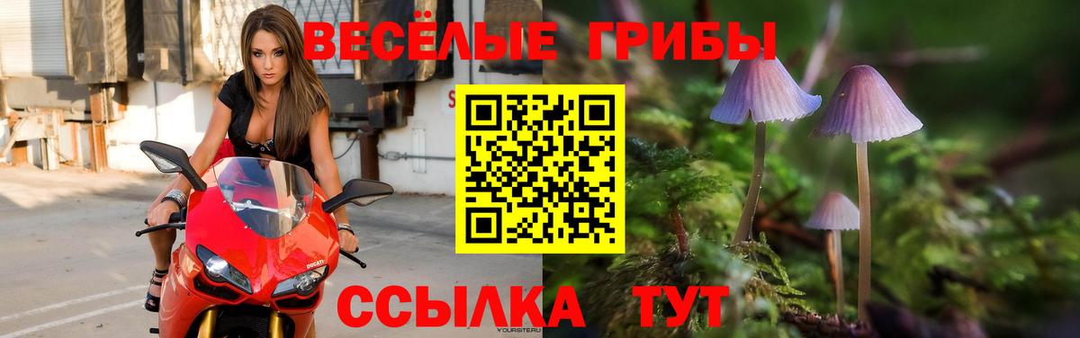 Псилоцибиновые грибы ЛСД Киржач